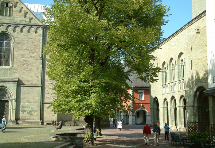Dom und Petrikirche in Soest mit dem Rathaus