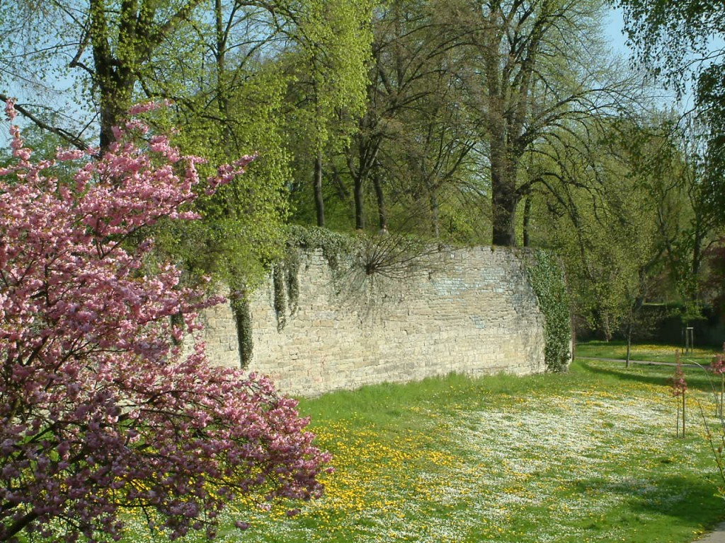 Der Wall in Soest heute als Parkanlage in der Gräfte