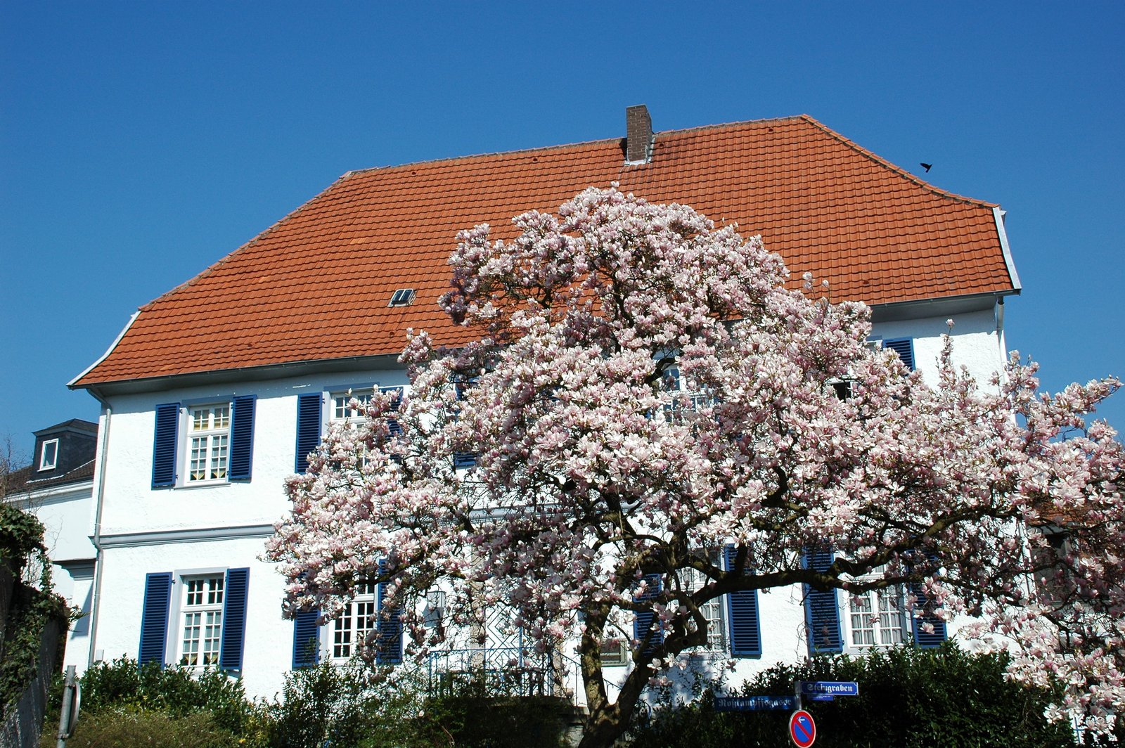 stadtfuehrung-soest.de -Soest - Steingraben©Werner Tigges