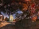 Der erste Kontakt für Ihre Stadtführung in Soest - Das Osthofentor im Herbst, Fotomontage ©Werner Tigges